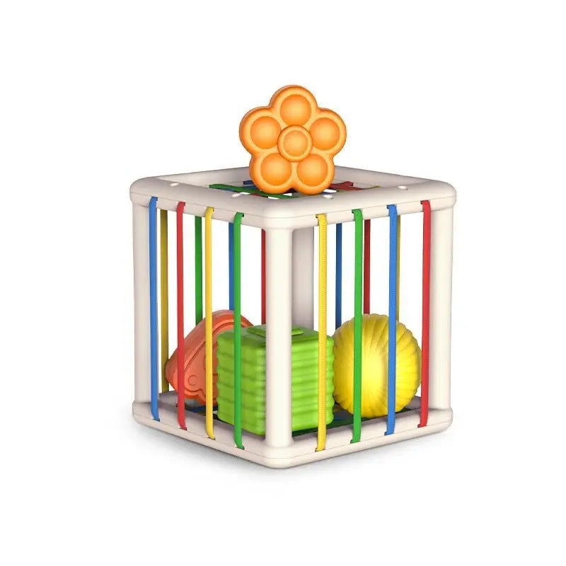 Fruit Rainbow Sessele Toys Shape Color Cognition Hand Movement Training Infant Early Education Enlightenment Toys
