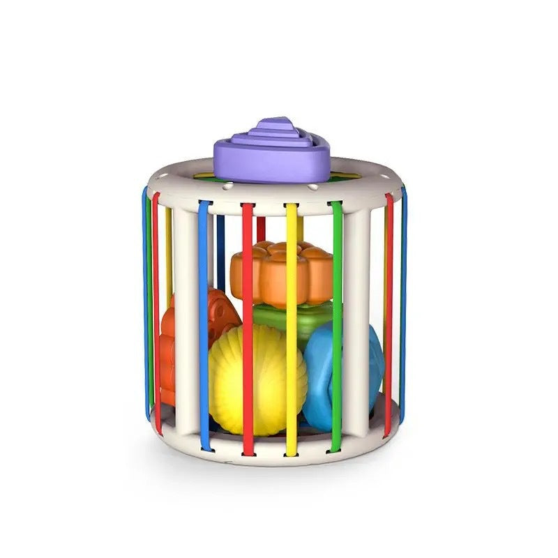 Fruit Rainbow Sessele Toys Shape Color Cognition Hand Movement Training Infant Early Education Enlightenment Toys