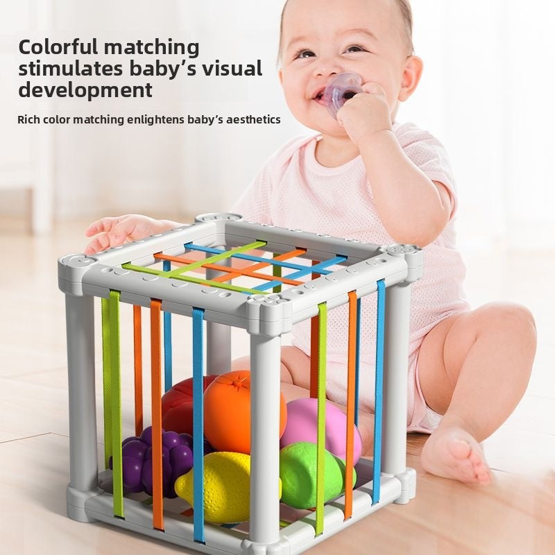 Fruit Rainbow Sessele Toys Shape Color Cognition Hand Movement Training Infant Early Education Enlightenment Toys
