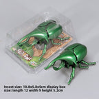 New chain ladybug simulation reptile clockwork beetle creative tricky decompression toy cross-border hot sale