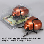 New chain ladybug simulation reptile clockwork beetle creative tricky decompression toy cross-border hot sale